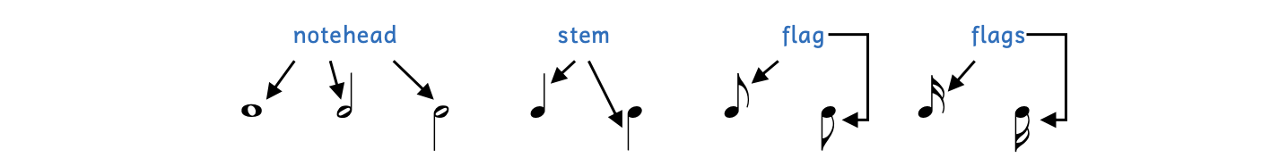 Parts of the note are pointed out, including noteheads, stems, and flags.