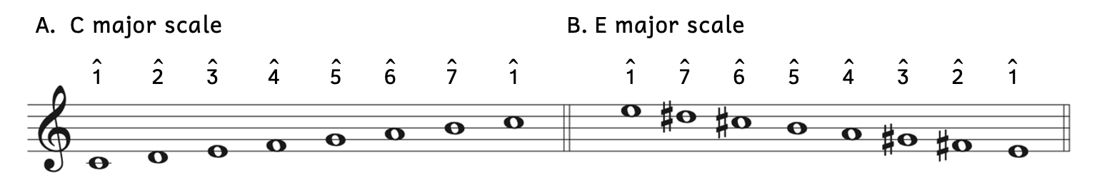 Comparing scale degrees in two different major scales. Example A shows a C major scale, where scale degree 1 is C, scale degree 2 is D, scale degree 3 is E, scale degree 4 is F, scale degree 5 is G, scale degree 6 is A, scale degree 7 is B, and scale degree 1, C, returns. Example B shows a descending E-major scale, where scale degree 1 is E, scale degree 7 is D-sharp, scale degree 6 is C-sharp, scale degree 5 is B, scale degree 4 is A, scale degree 3 is G-sharp, scale degree 2 is F-sharp, and scale degree 1, E, returns at the end.