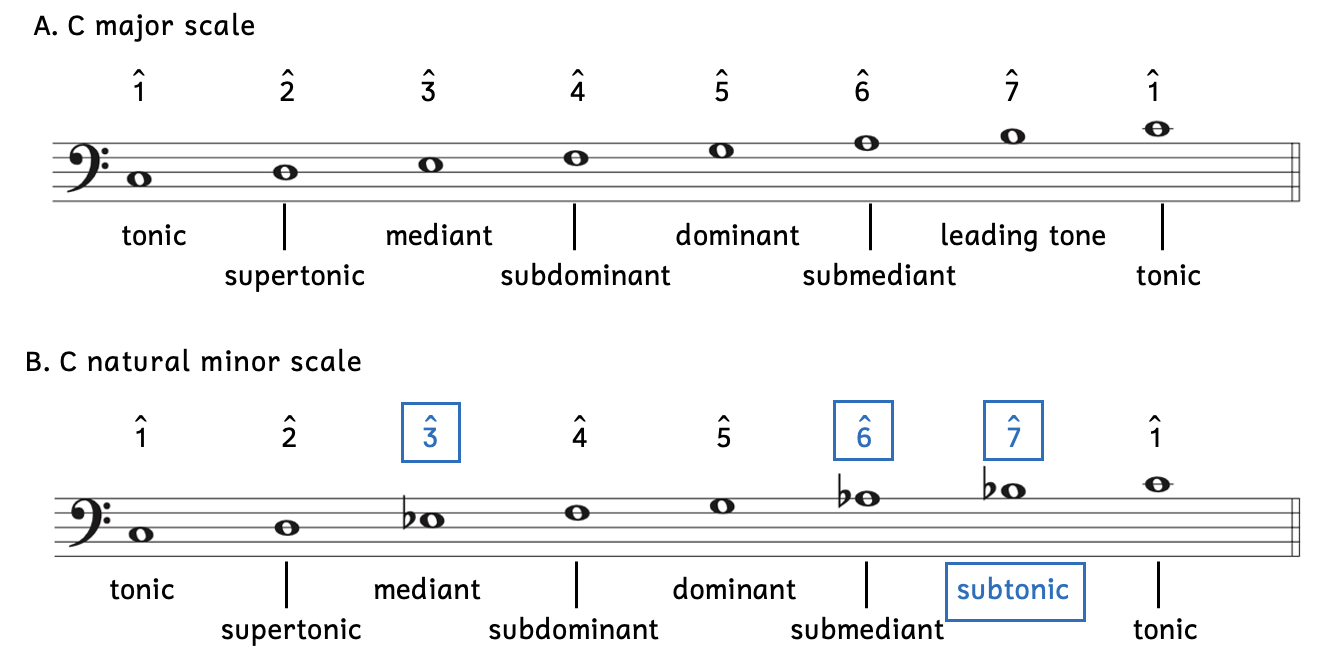 Example A shows the scale degree names and numbers in an ascending C major scale: Scale degree 1 is called the tonic. Scale degree 2 is called the supertonic. Scale degree 3 is called the mediant. Scale degree 4 is called the subdominant. Scale degree 5 is called the dominant. Scale degree 6 is called the submediant. Scale degree 7 is called the leading tone. Scale degree 1 repeats at the top, rather than being called scale degree 8. Example B shows the scale degree names and numbers in an ascending C natural minor scale: Scale degree 1 is called the tonic. Scale degree 2 is called the supertonic. Scale degree 3 is called the mediant. Scale degree 4 is called the subdominant. Scale degree 5 is called the dominant. Scale degree 6 is called the submediant. Scale degree 7 is called the subtonic. Scale degree 1 repeats at the top, rather than being called scale degree 8.