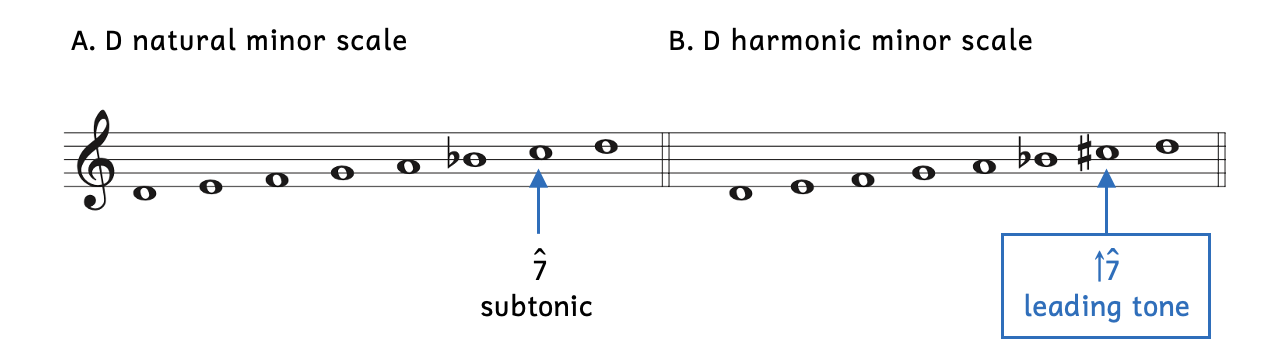Example A shows the D natural minor scale where scale degree 7 is C, which is the subtonic. Example B shows the D harmonic minor scale where scale degree 7 is C-sharp,boxed and in blue, which is the leading tone.