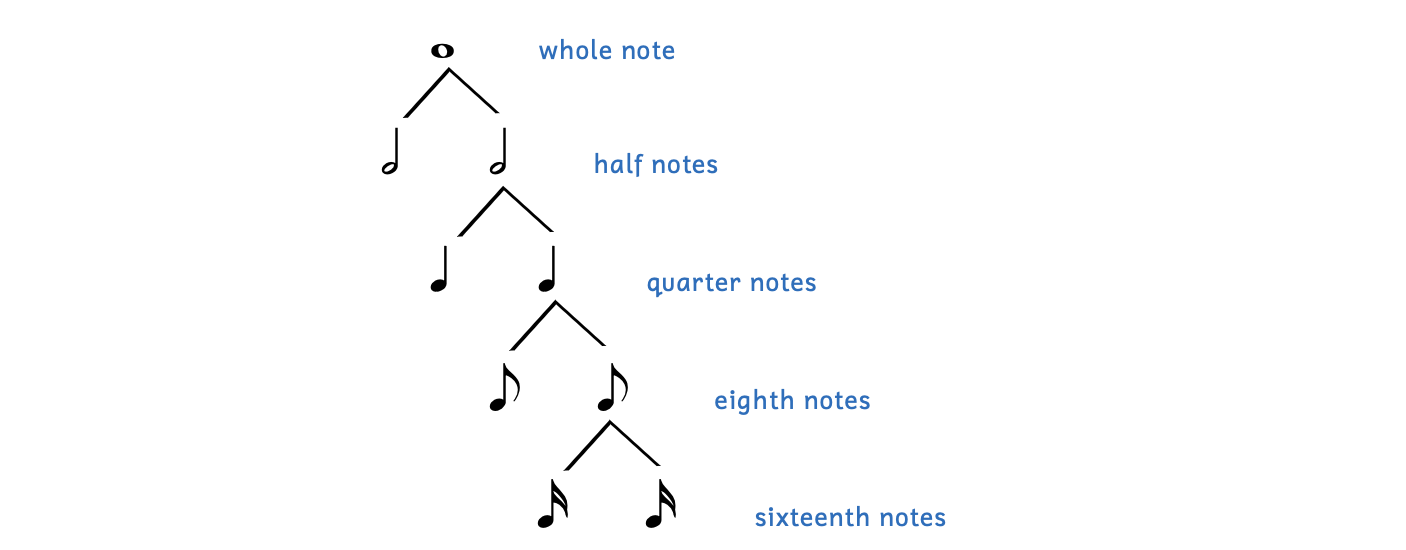 A whole note is divided into two half notes. A half note is divided into two quarter notes. A quarter note is divided into two eighth notes. An eighth note is divided into two sixteenth notes.