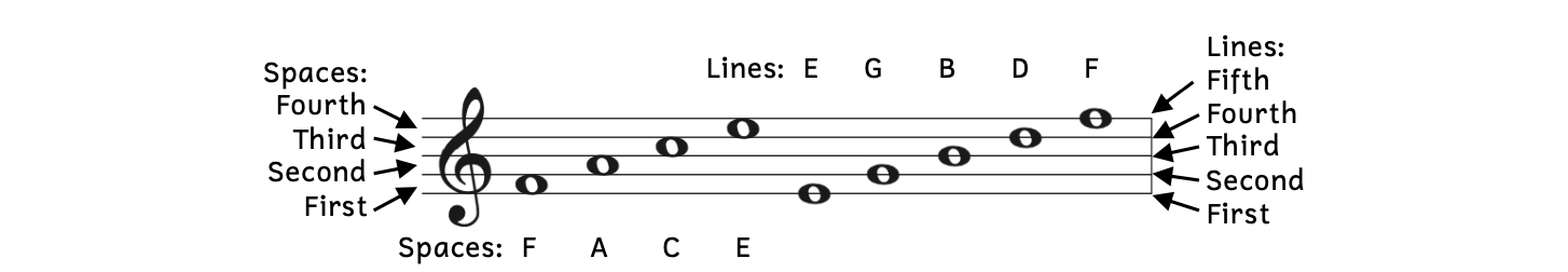 All pitches on the lines and in the spaces of a staff with a treble clef are shown. There are four space in a staff. The bottom space is the first space. Moving up, the other spaces are the second space, third space, and fourth space. There are five lines in a staff. The bottom line is the first line. Moving up, the other lines are the second line, third line, fourth line, and fifth line. The notes in the four spaces starting from the bottom space are F, A, C, and E. The notes on the five lines starting from the bottom line are E, G, B, D, and F.