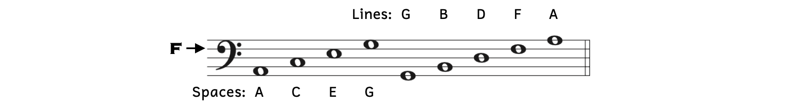 A staff with bass clef is shown. From the bottom up, the spaces contain the pitches A, C, E, and G. The lines contain the pitches G, B, D, F, and A. The fourth line is F, which is also where the bass clef symbol begins.