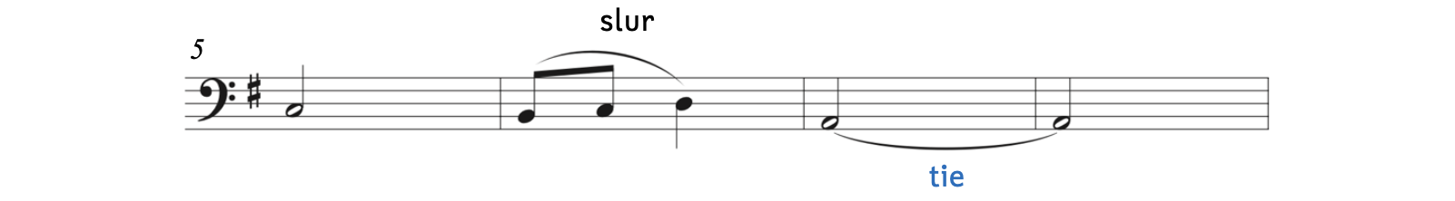 One curved line is pointed out as a slur while another curved line is pointed out as a tie.