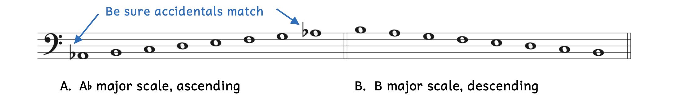 Example A shows pitches written out diatonically from A-flat2 to A-flat3. Be sure the accidentals match for notes an octave apart. Example B shows pitches written out diatonically from B3 to B2.