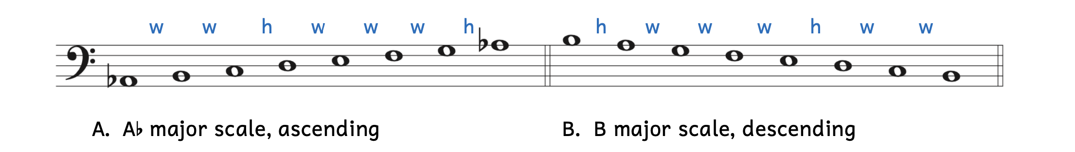 Example A adds the steps for writing an ascending major scale: whole, whole, half, whole, whole, whole, half. Examples B adds the steps fro writing a descending major scale. Be sure the steps are in reverse order: half, whole, whole, whole, half, whole, whole.