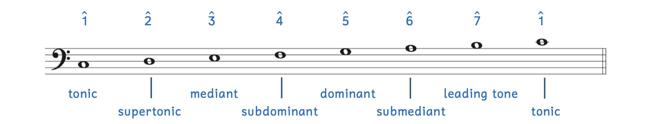 Scale degree names and numbers in a major scale. Scale degree 1 is the tonic. Scale degree 2 is the supertonic. Scale degree 3 is the mediant. Scale degree 4 is the subdominant. Scale degree 5 is the dominant. Scale degree 6 is the submediant. Scale degree 7 is the leading tone.