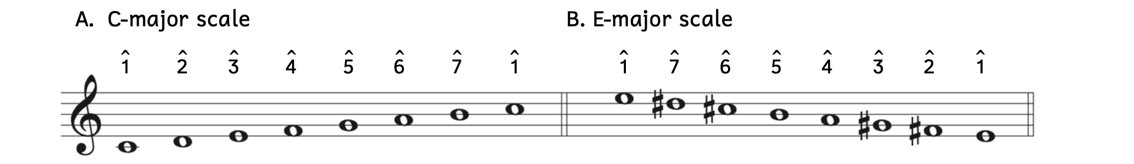 Comparing scale degrees in two different major scales. Example A shows a C major scale, where scale degree 1 is C, scale degree 2 is D, scale degree 3 is E, scale degree 4 is F, scale degree 5 is G, scale degree 6 is A, scale degree 7 is B, and scale degree 1, C, returns. Example B shows a descending E-major scale, where scale degree 1 is E, scale degree 7 is D-sharp, scale degree 6 is C-sharp, scale degree 5 is B, scale degree 4 is A, scale degree 3 is G-sharp, scale degree 2 is F-sharp, and scale degree 1, E, returns at the end.