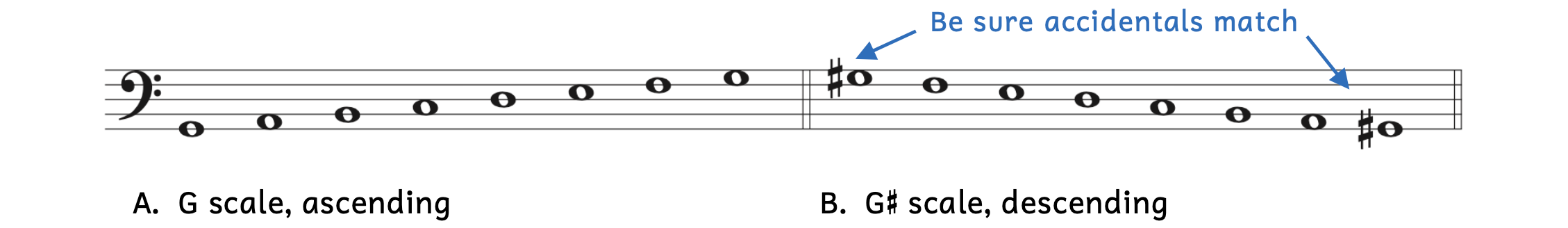 Step one: write out every note diatonically. In Example A, pitches are written diatonically in ascending order from G2 to G3. In example B, pitches are written diatonically in descending order from G-sharp3 to G-sharp2. Be sure accidentals match for the first and last note of the scale.