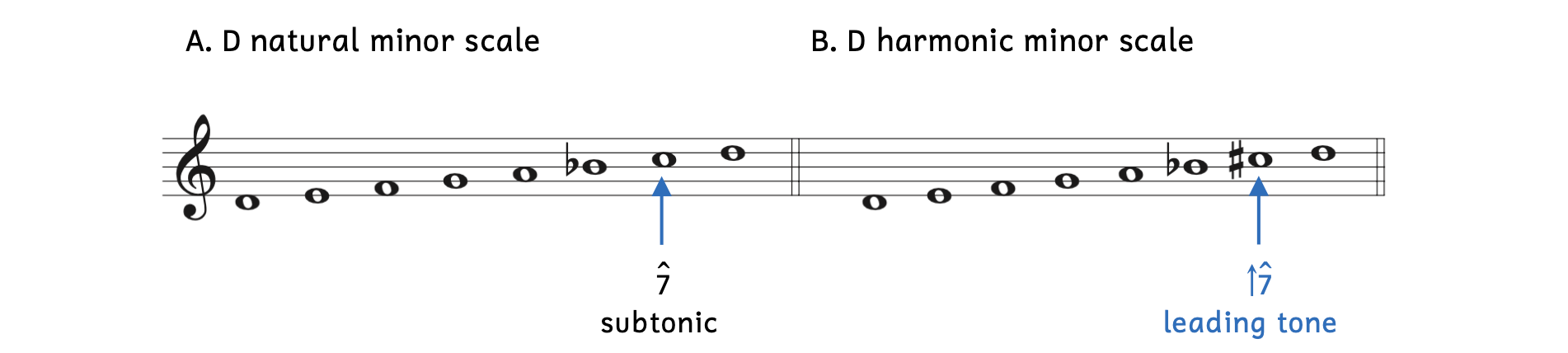 Example A shows the D natural minor scale where scale degree 7 is C, which is the subtonic. Example B shows the D harmonic minor scale where scale degree 7 is C-sharp, which is the leading tone.