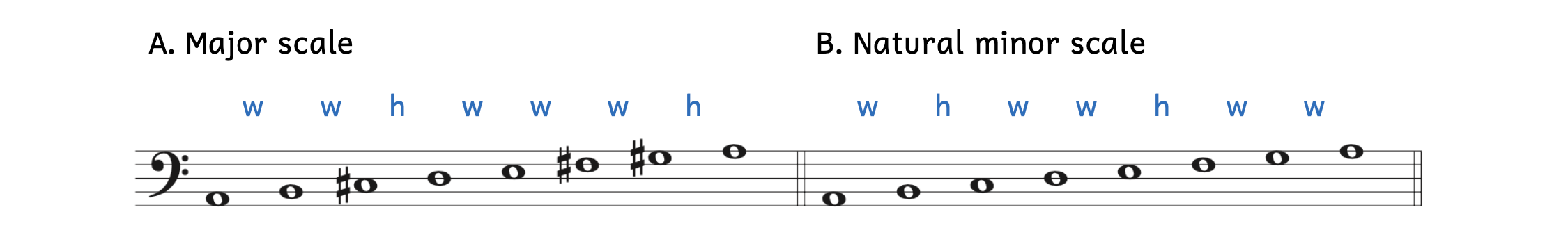 Example A shows an ascending major scale beginning on A2 using the sequence of whole steps and half steps: whole-whole-half-whole-whole-whole-half. Example B shows an ascending natural minor scale beginning on A2 using the sequence of whole steps and half steps: whole-half-whole-whole-half-whole-whole.