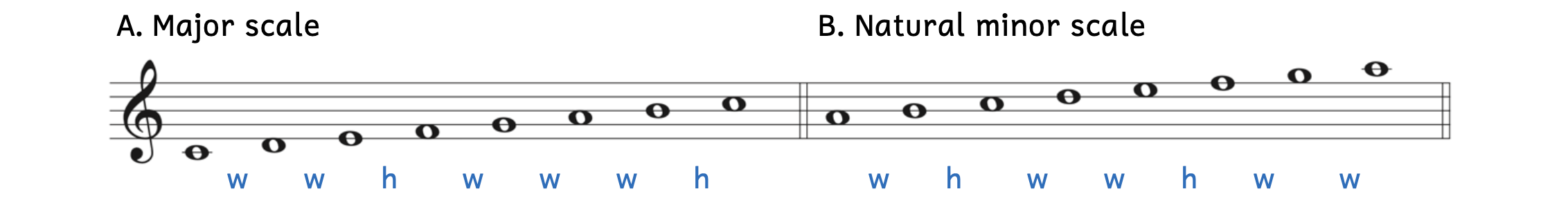 Example A is an ascending major scale beginning on C. The steps between notes are a whole step, whole step, half step, whole step, whole step, whole step, and half step. Example B is an ascending natural minor scale beginning on A. The steps in between the notes are a whole step, half step, whole step, whole step, half step, whole step, and whole step.