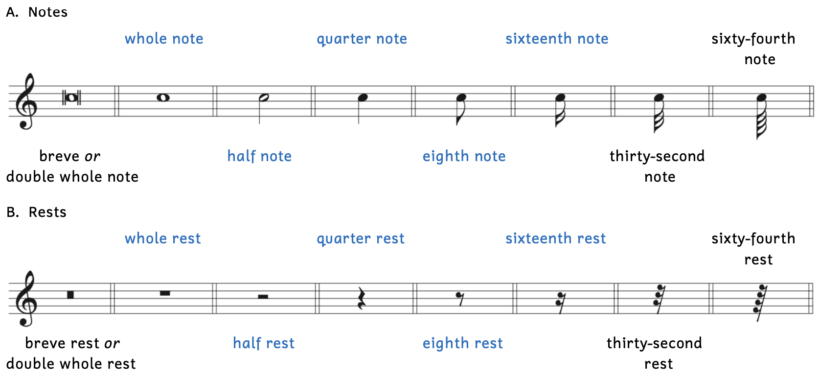 Various note and rest values are shown. Example A shows different types of notes including the breve or double whole note, the whole note, the half note, the quarter note, the eighth note, the sixteenth note, the thirty-second note, and the sixty-fourth note. Example B shows different types of rests include the breve rest or double whole rest, the whole rest, the half rest, the quarter rest, the eighth rest, the sixteenth rest, the thirty-second rest, and the sixty-fourth rest. The most common notes and rests are shown in blue, which include the whole note and rest, the half note and rest, the quarter note and rest, the eighth note and rest, and the sixteenth note and rest.