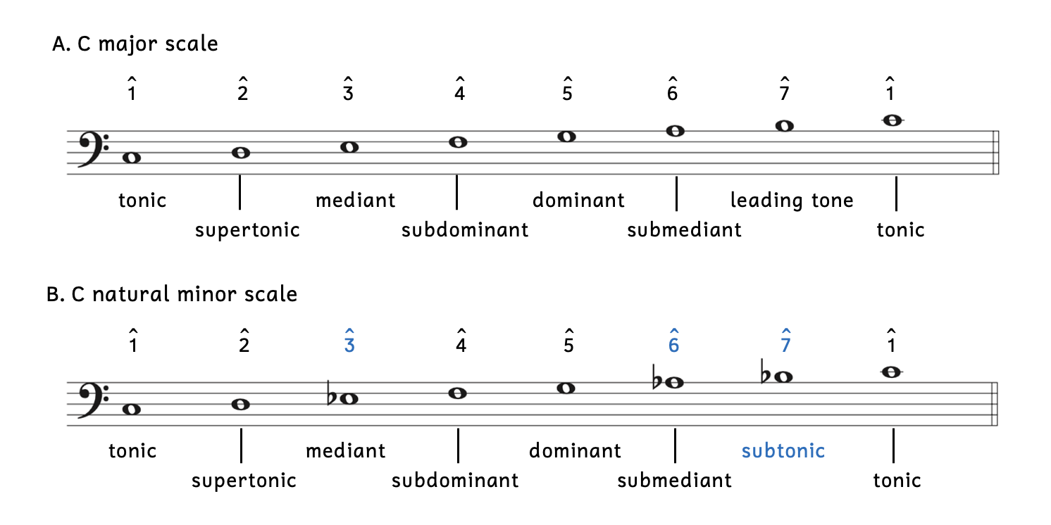 Example A shows the scale degree names and numbers in an ascending C major scale: Scale degree 1 is called the tonic. Scale degree 2 is called the supertonic. Scale degree 3 is called the mediant. Scale degree 4 is called the subdominant. Scale degree 5 is called the dominant. Scale degree 6 is called the submediant. Scale degree 7 is called the leading tone. Scale degree 1 repeats at the top, rather than being called scale degree 8. Example B shows the scale degree names and numbers in an ascending C natural minor scale: Scale degree 1 is called the tonic. Scale degree 2 is called the supertonic. Scale degree 3 is called the mediant. Scale degree 4 is called the subdominant. Scale degree 5 is called the dominant. Scale degree 6 is called the submediant. Scale degree 7 is called the subtonic. Scale degree 1 repeats at the top, rather than being called scale degree 8.