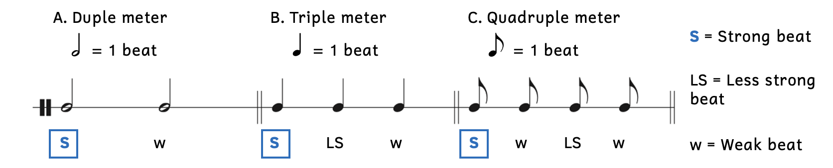 Weighted beats in simple meters. A. In duple meters, the downbeat is strong and beat 2 is weak. B. In triple meters, the downbeat is strongest; beat 2 is less strong; and beat 3 is weak. C. In quadruple meters, the downbeat is strongest; beat 3 is less strong; and beats 2 and 4 are weak.