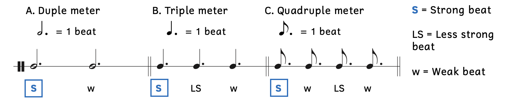 Weighted beats in compound meters. A. In duple meters, the downbeat is strong and beat 2 is weak. B. In triple meters, the downbeat is strongest; beat 2 is less strong; and beat 3 is weak. C. In quadruple meters, the downbeat is strongest; beat 3 is less strong; and beats 2 and 4 are weak.