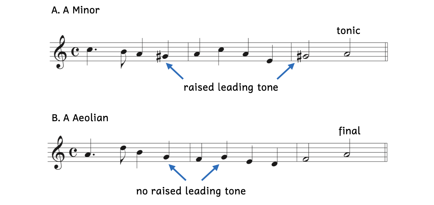 Example A shows an example in A minor, with the raised leading tone that leads to tonic. The example ends with scale degree 1, which is the tonic. Example B shows an example in A Aeolian, with no raised leading tone that does not go to tonic. The example ends with scale degree 1, which is the final.
