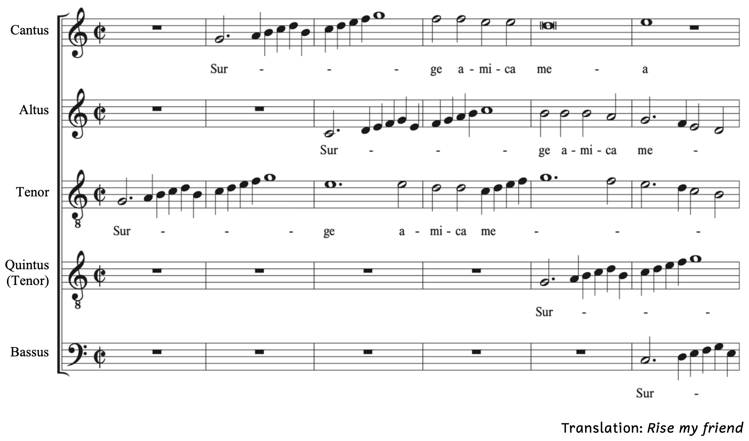 Palestrina's Motet opens with an ascending G-Mixolydian scale