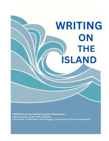 Writing on the Island book cover